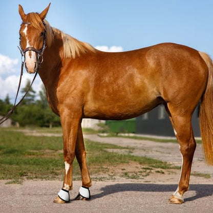 GEOSO Bell Boots for Horses,Ballistic Overreach Horse Boots | Superb Protection, Durability&Comfort,360 Degree Wrap