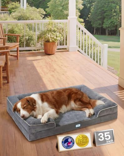 OhGeni Orthopedic Medium Large Dog Bed Sofa, Memory Foam, 35-inch (Gray)
