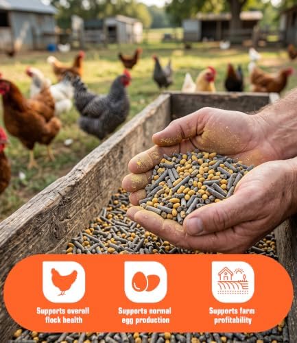 Natural Chicken Dewormer Powder Chili Mix Wormer for Flock Poultry, Natural Poultry Supplement for Chickens, Chicken Wormer Feed Additive with Chili Pepper & Oregano (Red)