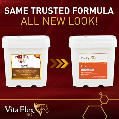 Vita Flex Pro Accel Health & Wellness, Horse Supplement, 240-Day Supply