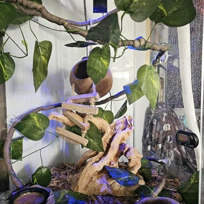 Crested Gecko Tank Accessories,Gecko Coconut Hut Hideout with Ladder Reptile Hammock Lizards Hanging Plants Flexible Climbing Jungle Vine Leaves Terrarium Decor