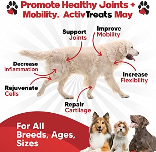 Glucosamine for Dogs Hip and Joint Supplement - Arthritis Support 120 Chews