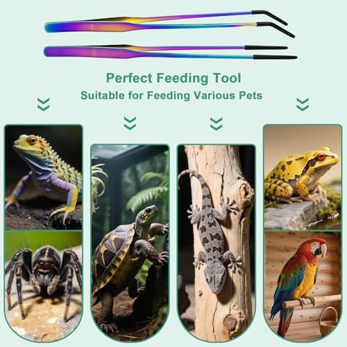 Syn-zer Reptile Feeding Tongs, 10.6" Straight & Curved (Multicolor)