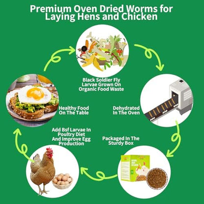 Dried Black Soldier Fly Larvae Treats for Chickens Wild Birds Ducks 5LB