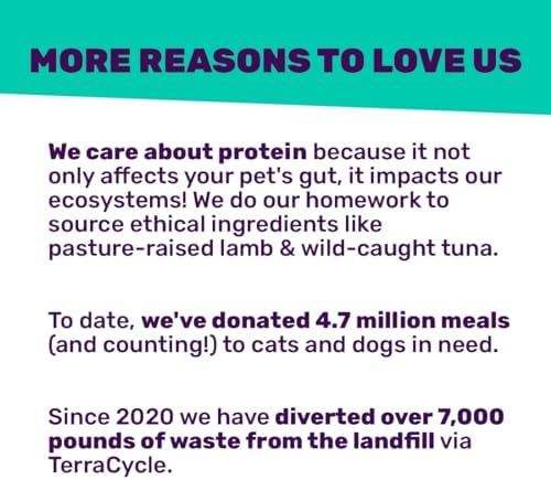 I AND LOVE AND YOU Wet Cat Food - Beef, Right Meow! Pâté Grain Free, Filler Free, 3oz Pack of 4 Cans