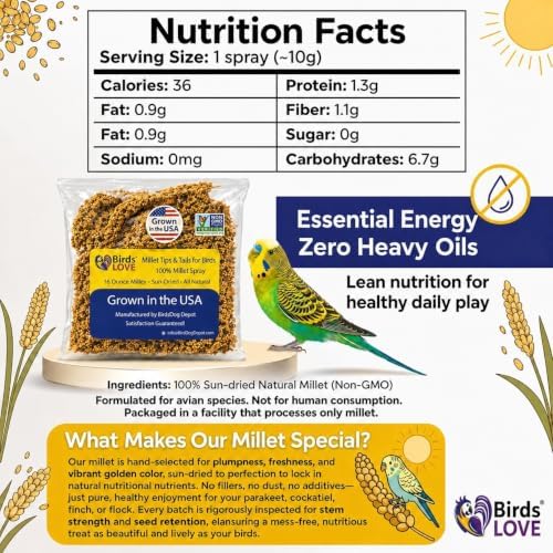 Birds LOVE® Millet Tips & Tails for Birds – Premium Spray Millet Treat, Grown in the USA – Natural & Healthy Bird Food for Parakeets, Cockatiels, Budgies, Lovebirds, Finches, Canaries & Parrots – 1 lb