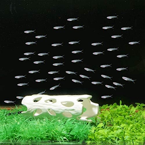 XMHF Aquarium Decor Shrimp Shelter Tube Breeding Hiding Cave Holes Ornaments Fish Tank Decorations White