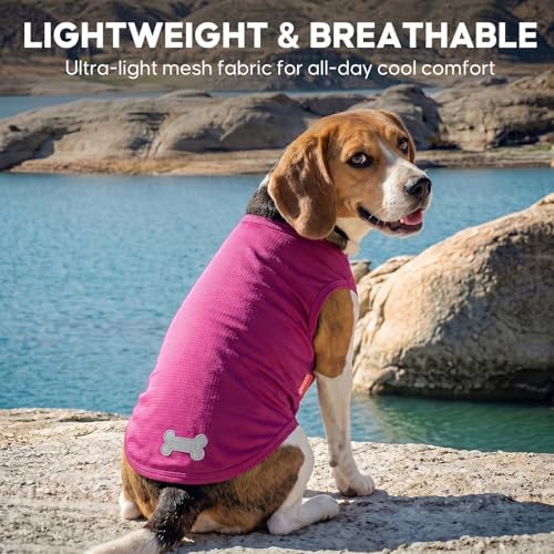 KYEESE 2Pack Dog Shirts for Small Dogs Breathable Mesh Tank Top