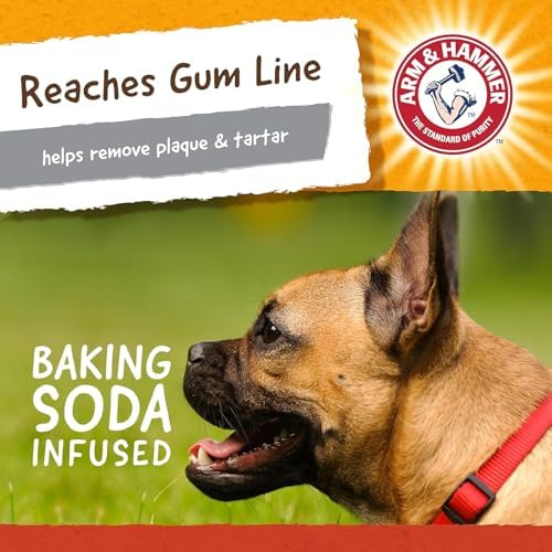Arm & Hammer Super Treadz Mini Gorilla Dental Chew Toy, Small, 3.5 in, 24Pk