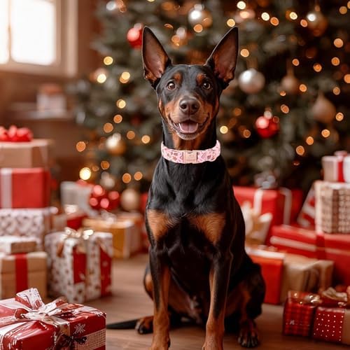 Christmas Dog Collar for Puppy Small Dogs - Cute Pink Christmas Collars for Dogs, Sweet Festive Winter Heavy-Duty Adjustable Dog Collars with Metal Buckle XS