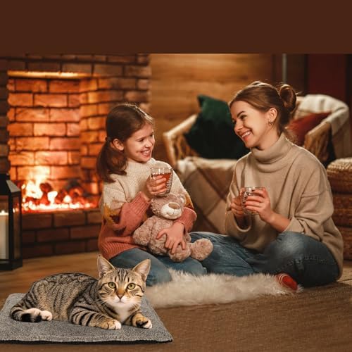 Self-Warming Cat Bed Pad, Self-Heating Cat Bed Mat Thermal Blanket for Indoor Cats & Small Dogs,30x20 inches