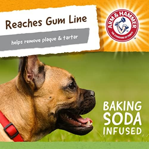 Arm & Hammer Super Treadz Gator Dental Dog Chew Toy, Large, 7 Inch, 12-Pk
