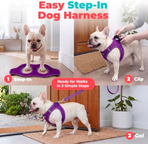 Voyager Step-in Air Dog Vest Harness - Purple, Small