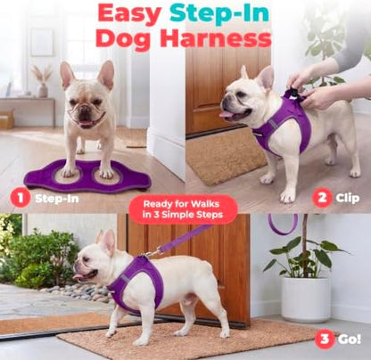 Voyager Step-in Air Dog Vest Harness - Purple, XXX-Small