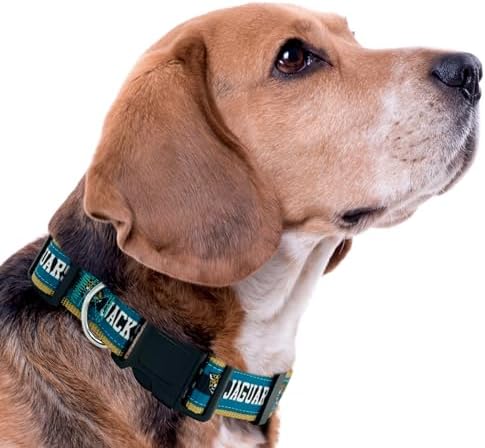 Pets First NFL Jacksonville Jaguars Licensed PET COLLAR, Medium - Heavy-Duty, Strong, and Durable Dog Collar. Available in 31 Football Teams and 4 Sizes