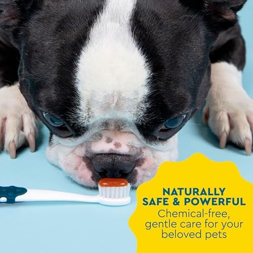 RADIUS USDA Organic Canine Pet Toothpaste 1 Unit, 3 oz, Non Toxic Toothpaste for Dogs, Designed to Clean Teeth and Help Prevent Tartar and Remove Plaque, Xylitol Free