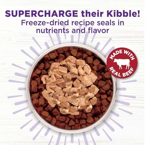 Wellness Bowl Boosters Bare Freeze Dried Dog Beef Food Topper for Small, Medium, and Large Breeds, Grain Free, Natural, 4 oz Bag (Pack of 2)