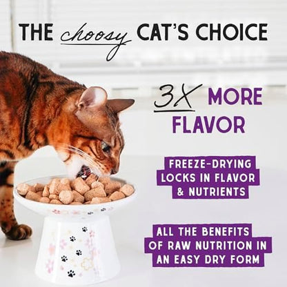 Stella & Chewy's Freeze-Dried Raw Cat Dinner Morsels - Premium Chicken Recipe with 98% Cage-Free Meat & Organs - Natural Grain-Free Cat & Kitten Food - Made in USA - 1 oz (Pack of 2)
