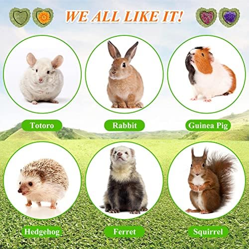 20PCS Bunny Chew Toys for Bunny's Teeth Organic Timothy Hay Cakes