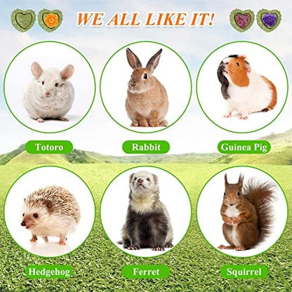 20PCS Bunny Chew Toys for Bunny's Teeth Organic Timothy Hay Cakes