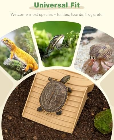 Pawfly Reptile Bathing Pool with Removable Ramp, Reptile Food Dish Feeding Dish, Tortoise Water Dish Water Bowl with Steps, Turtle Bathing Pool Bath Tub Soaking Dish for Gecko Snake Lizard Frog