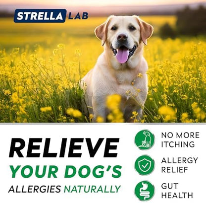 Dog Allergy & Itching Relief - Anti Itch, Skin&Coat Support Chews w/Omega 3