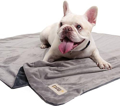 Friends Forever Dog Bed Blanket , Pets Blankets for Couch Sofa Protection