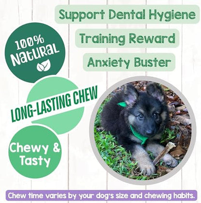 Nature Gnaws USA Steer Sticks for Dogs 5-7" (8oz) - Mixed Thickness - Long Lasting for Aggressive Chewers and Large Dogs - Natural Beef Bully Dog Chew Bones