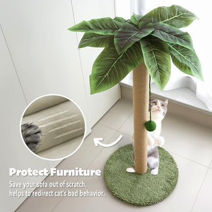 PETKARAY Cat Scratching Post, 36" Tall Palm Tree Cat Scratching Post, Sisal Cat Scratcher with Toy Ball for Indoor Kittens, Large Size