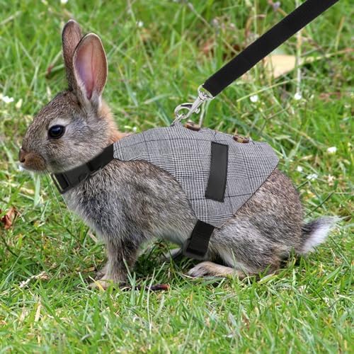 Rabbit Vest Harness and Leash Set Adjustable Formal Suit Style for Bunny Kitten Small Animal Walking (L)