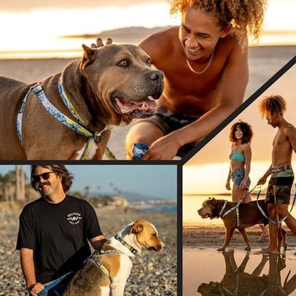 Wolfgang Heavy Duty Adjustable Dog Harness, Pull-Tested to Over 800 lbs for Walking & Training, DawnPatrol Print, Small