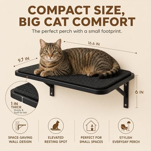 Cat Wall Shelves Set of 2, Black Solid Wood Window Perches with Sisal Mats