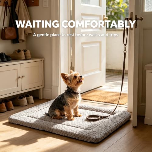 Dog Bed Mat - Durable & Cute Crate Dog Beds for Small Dogs & Cats, Comfortable Kennel Pad for Home, Crate & Travel