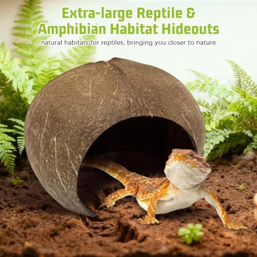 PINVNBY Large Natural Coconut Reptile Hideouts Lizard, Coco Hut Hermit Crab Hut Aquarium Fish Hide Cave for Small Reptile Crested Gecko Leopard Gecko Spider Snail Climber Toys
