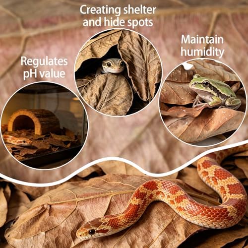 120Pcs Leaf Litter Reptiles Indian Almond & Longan Moneta Leaves