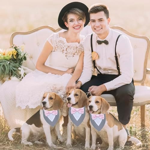 ADOGGYGO Dog Tuxedo Bandana, Wedding Birthday Dog Bow Tie, Grey, Small