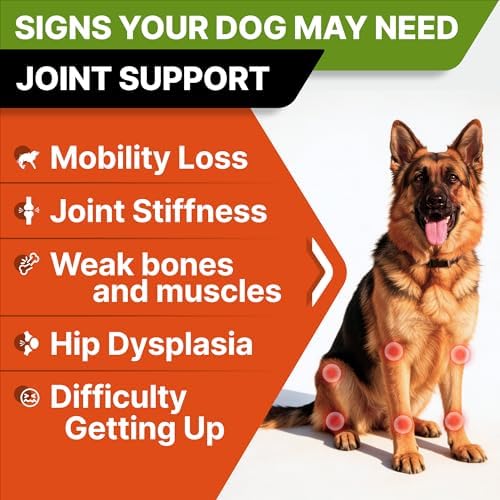 STRELLALAB Advanced Glucosamine for Senior Dogs, Chondroitin Joint Support
