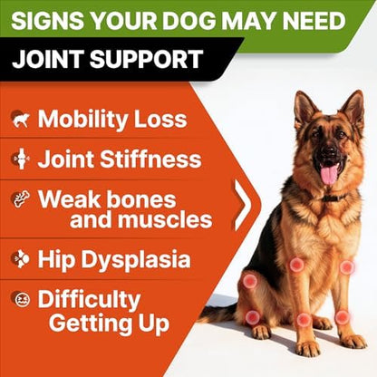 STRELLALAB Advanced Glucosamine for Senior Dogs, Chondroitin Joint Support