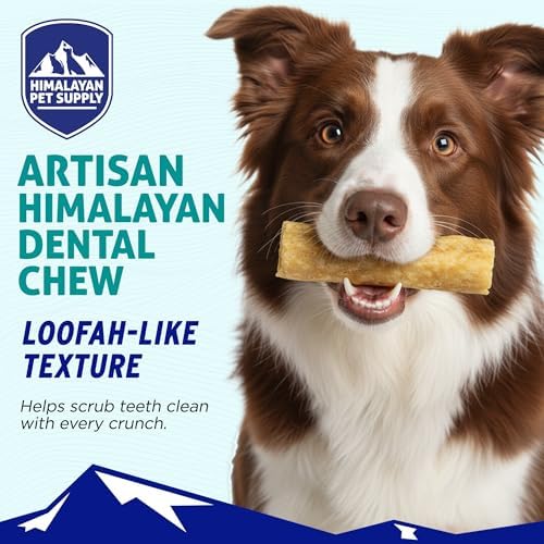 Himalayan Dog Chew Happy Teeth Yak Cheese Crunchy Dog Chew, Cheese 2 Count