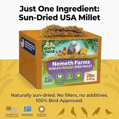 Nemeth Farms Spray Millet - Edible Tops Only, Non-GMO and Sun-Dried - 2 lbs for Cockatiels, Lovebirds and Budgies