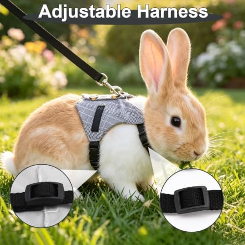 Hypeety Multipurpose Rabbit Vest Harness and Leash Set Adjustable Vest, L
