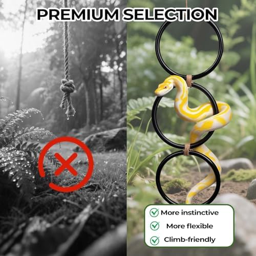 2 Pack Snake Climbing Rings for Ball Python & Corn Snake,Reptile Enrichment Toys for Snake,Ball Python Tank Decor, Reptile Tank Accessories for Bearded Dragon,Chameleon, Iguana, Gecko, Lizard (Black)
