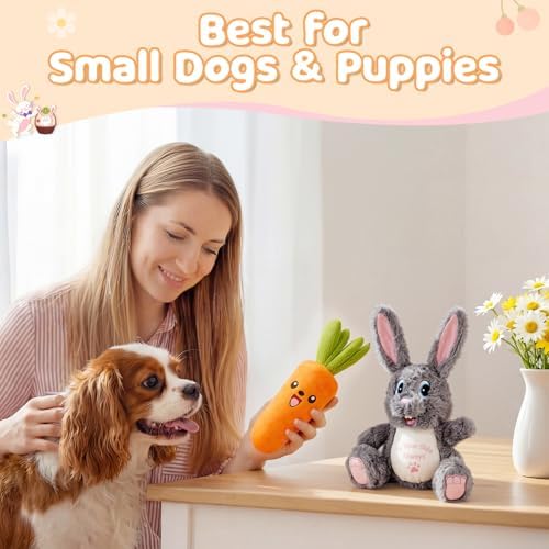 Squeaky Dog Toys for Small & Medium Dogs - Keep Them Happily Playing