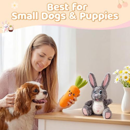Squeaky Dog Toys for Small & Medium Dogs - Keep Them Happily Playing