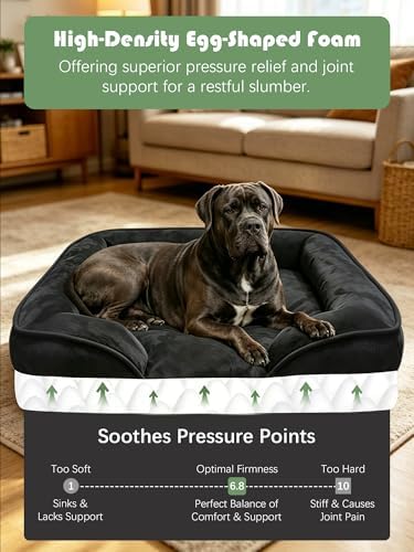 Spotted Play Orthopedic Dog Bed with Sides - Sofa Beds for Extra Large Dogs, Supportive Foam Pet Couch Bed with Washable Removable Cover, Waterproof Lining and Non-Slip Bottom, Black - XXL