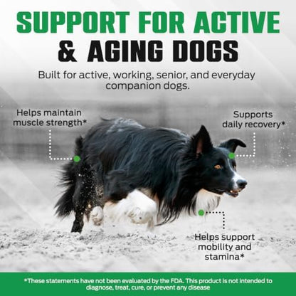 K10 Amino Acids for Dogs, All-in-One Dog Supplement, 30 Servings/Tub