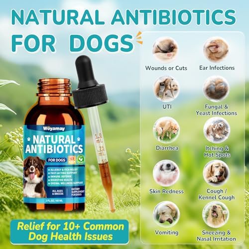 Woyamay Antibiotics for Dogs, Natural Dog Antibiotics for Allergy Relief
