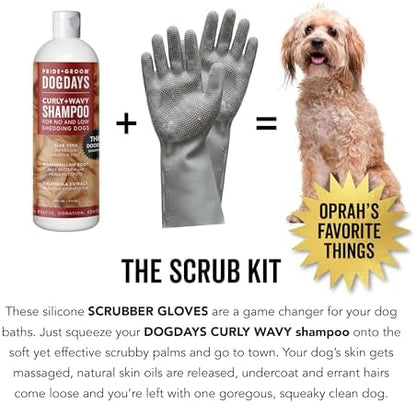 Pride and Groom DogDays Curly + Wavy The Scrub Kit - Natural Dog Shampoo with Silicone Scrubber Gloves for Low or No-Shedding Breeds with Coat Massage, Clean Ingredients, and Gentle Pet Grooming Care