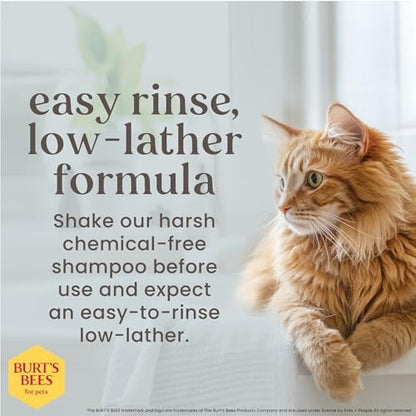 Burts Bees for Pets Hypoallergenic Cat Shampoo, Unscented, 10 Fl Oz, 2-Pk