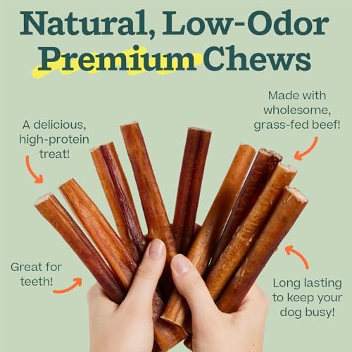 WOOF Bully Sticks Dog Chew Treats, 12 Inch, 10 Count